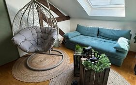 Jungle Cosy